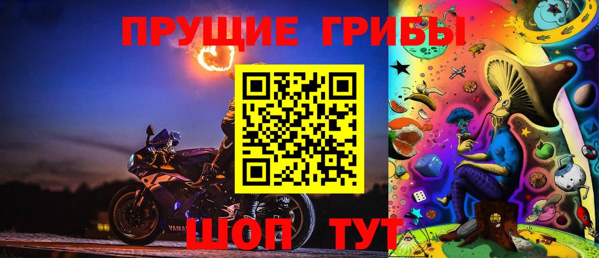Псилоцибиновые грибы прущие грибы Ртищево